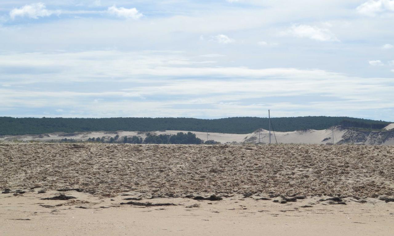 Banc d'Arguin - une dune