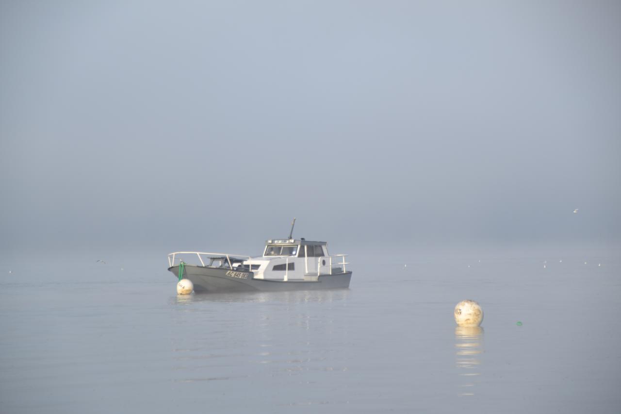 brume dans le chenal