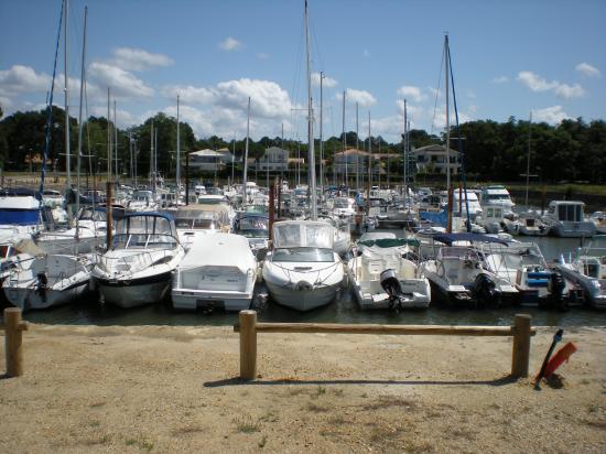 le port en juillet  2008